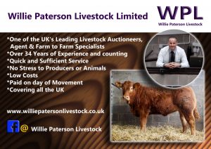 Willie Paterson Livestock Limited
